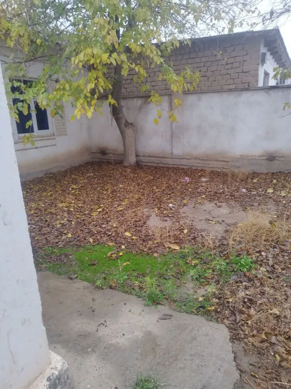 Учкизил катта кумдв 2 та уй — фото 7