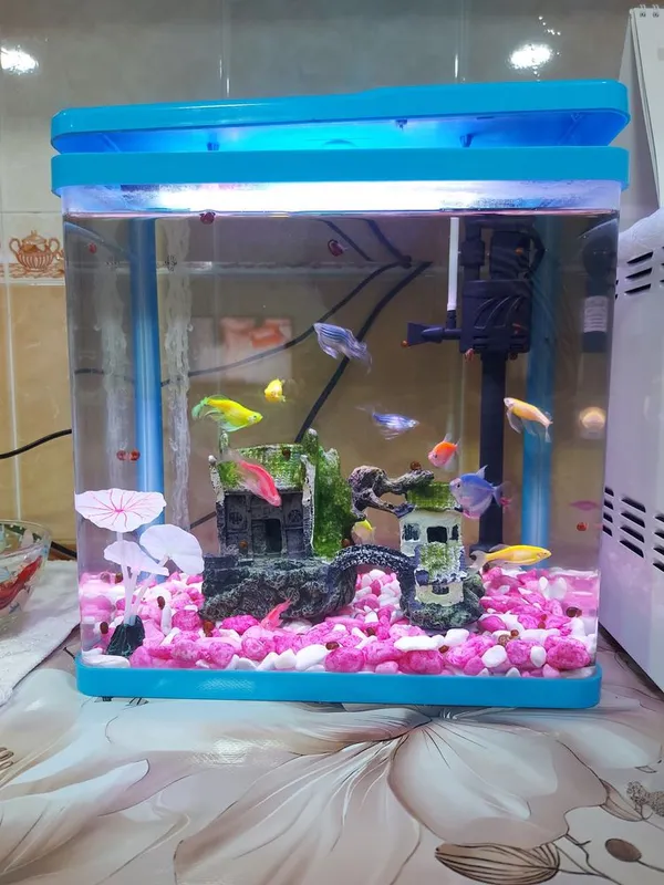Akvarium (baliqlari bilan)