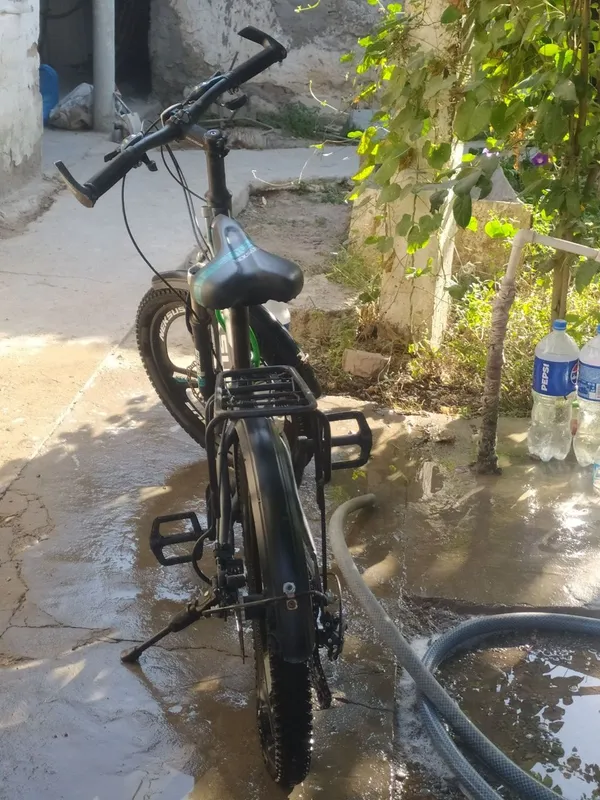 Full pazitsa neksus