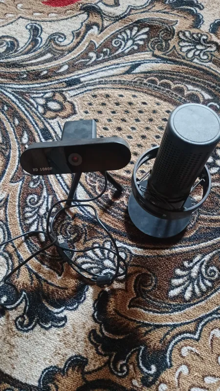 Web-camera va microfon