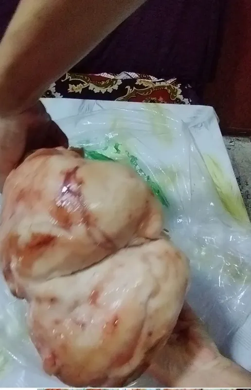 Qo'y dumbasi 65.000 kotta miqdorda sotiladi