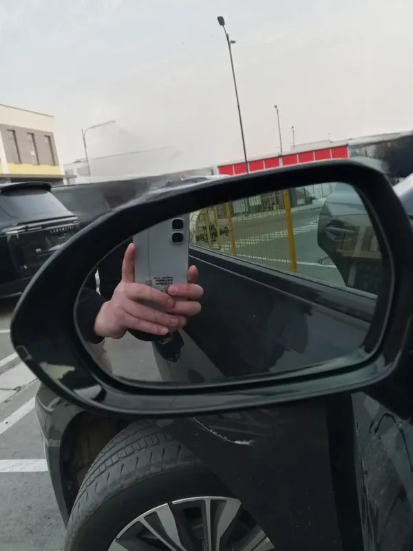 Orqa tarafni ko'rsatuvchi oyna Hongqi Ekm5