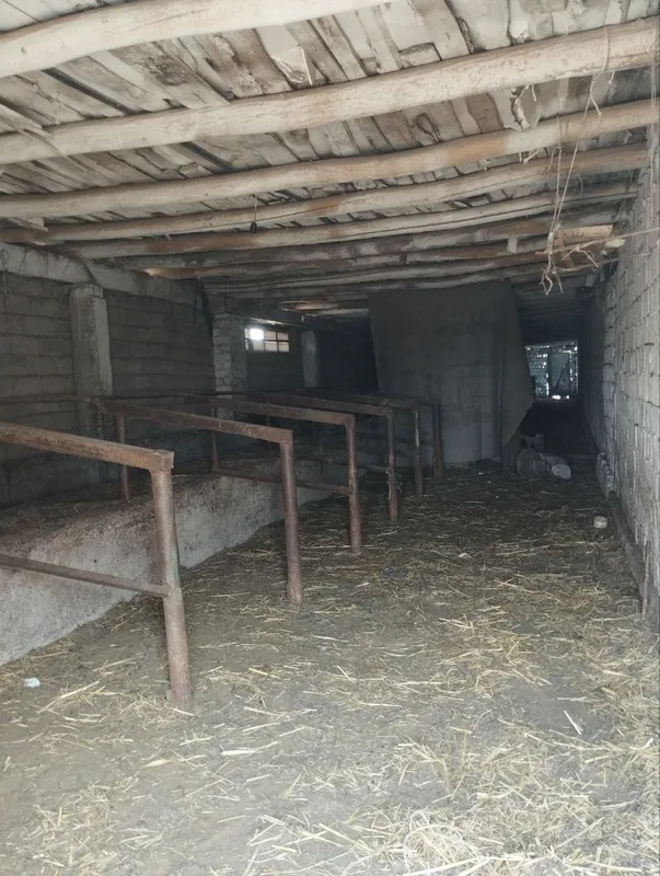 Ferma sotaman 4 Ferma sotaman 4