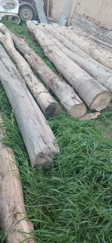 Tosinla bor sotiladigan 1 Tosinla bor sotiladigan 1