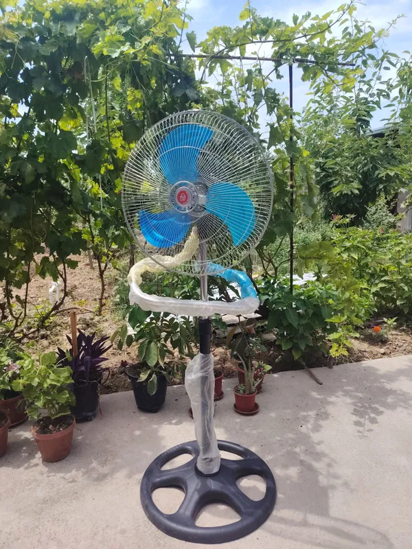 ventilator 3 paraklik yoki 5 paraklik