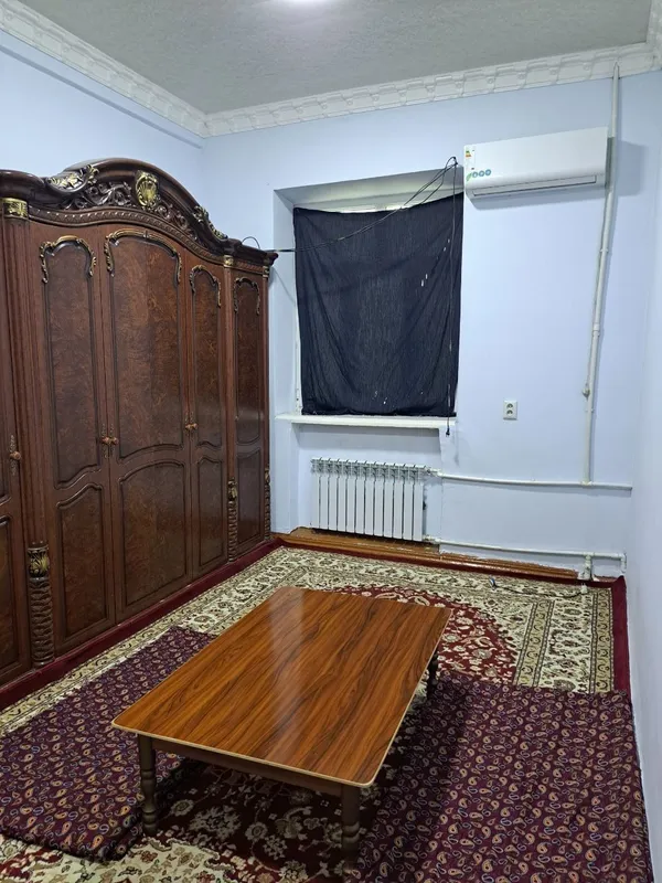 Саракулька в аренду — фото 3