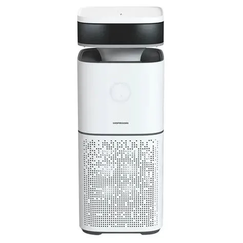 Очиститель и увлажнитель воздуха Hofmann SAP6560TCWH/HF