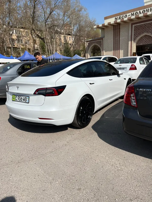 Model 3 standard plus — фото 1