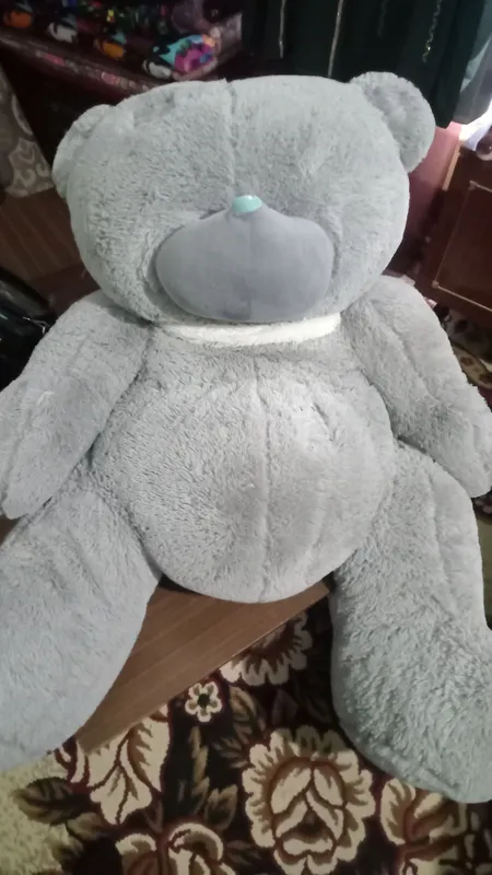 Teddy bear katta  ayiq