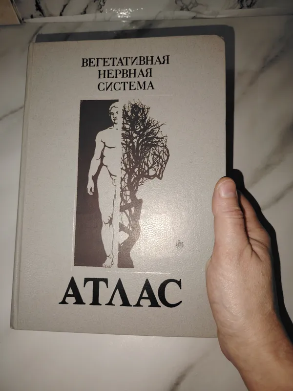 Вегетативная нервная система
