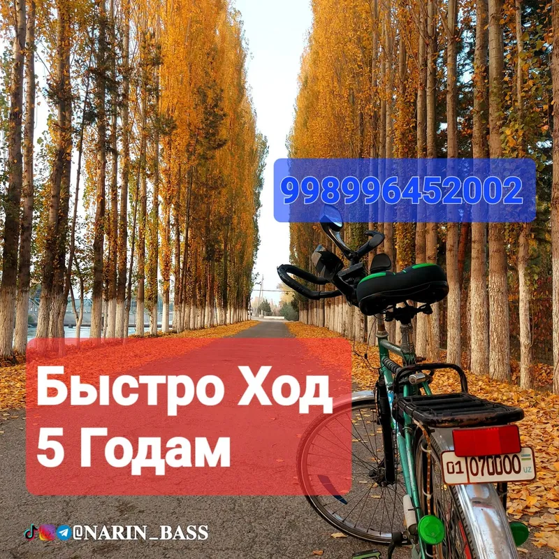 Калифорния, БЫСТРО ХОД терак Кучат Ва каламчалари — фото 5