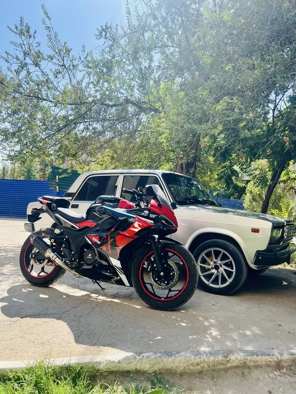 Новинка! Ducasu 250сс 1 Новинка! Ducasu 250сс 1