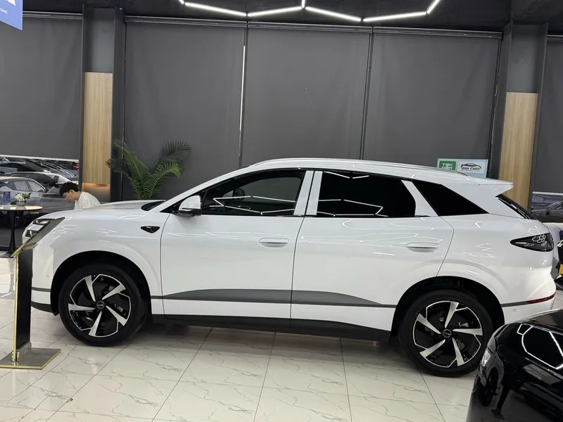 Byd Sea Lione 06 2