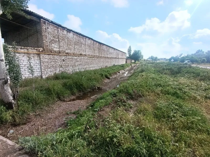 Ferma sotiladi 80 sotok . Gallakudukda . 2 Ferma sotiladi 80 sotok . Gallakudukda . 2