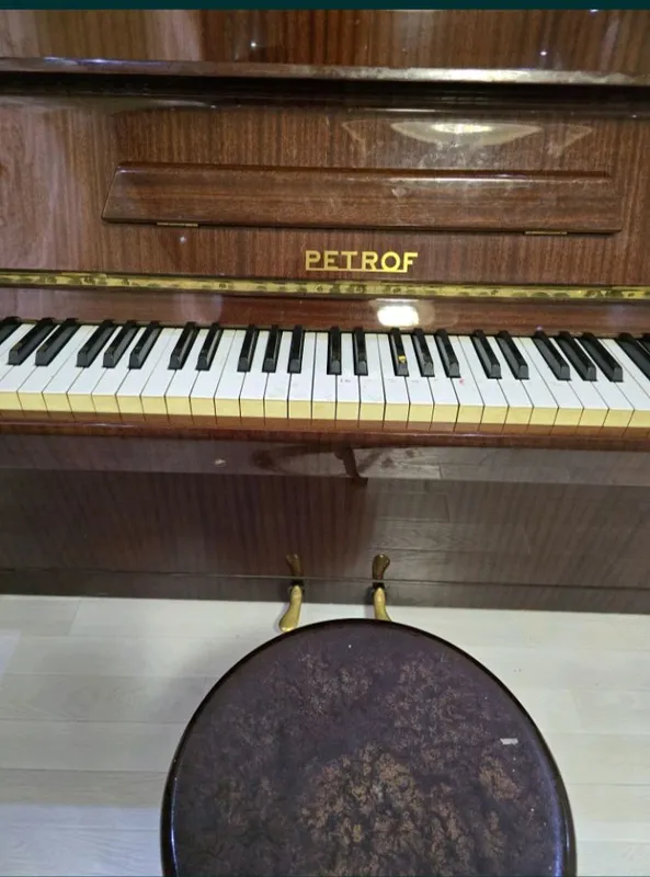 ПИОНИНО PETROV