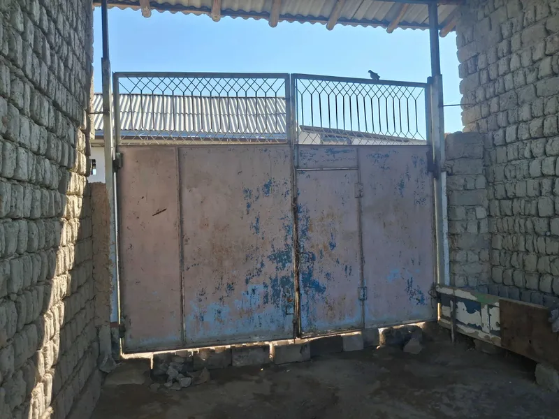 Jomboy 10 sotix yer uchastka sotiladi — фото 3