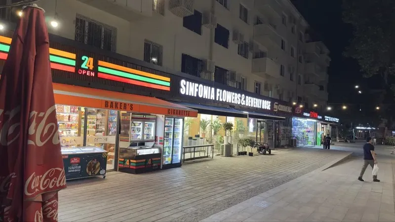 Toshkent, Shota Rustaveli ko‘chasida 2 xonali kvartira ijaraga beriladi (mo‘ljal: Babur bog‘i) 1
