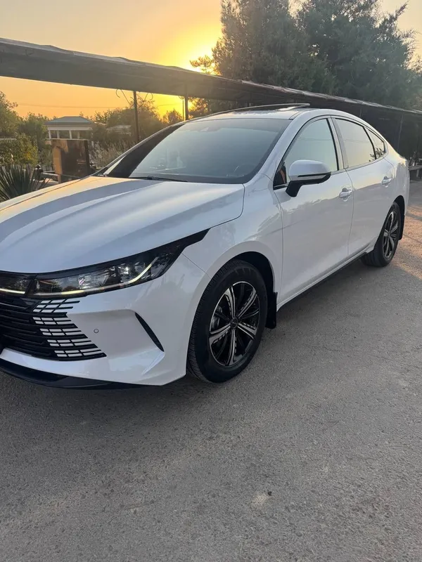 Byd Chazor 2023/24 1 Byd Chazor 2023/24 1