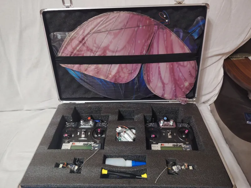 Kapalak dron 2ta