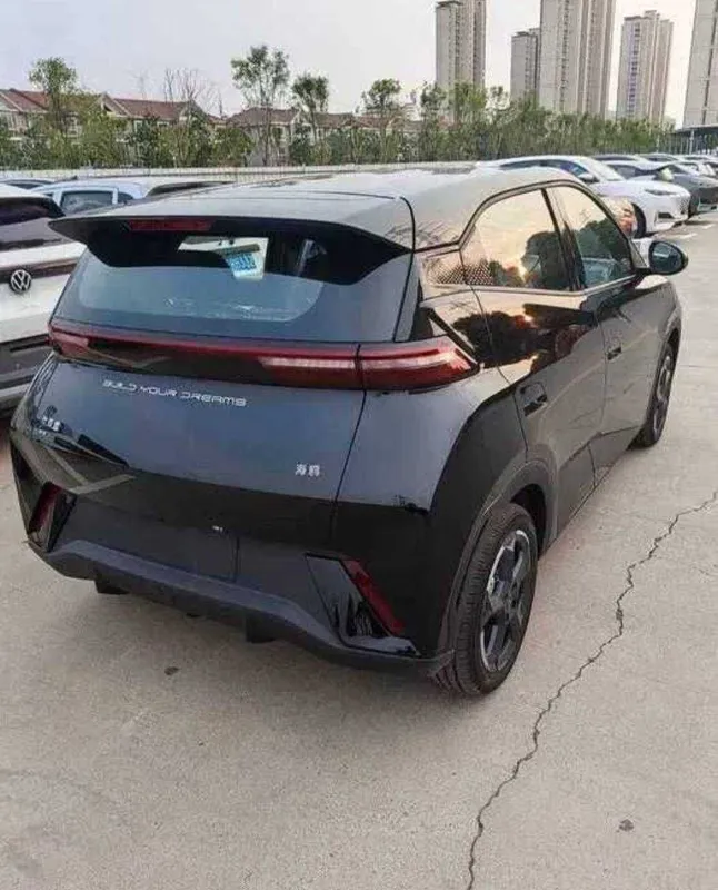 Byd seagull rasrochkaga