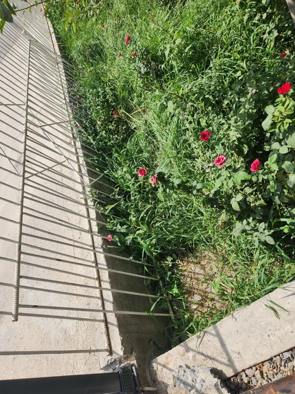 Eski armaturadan zabor