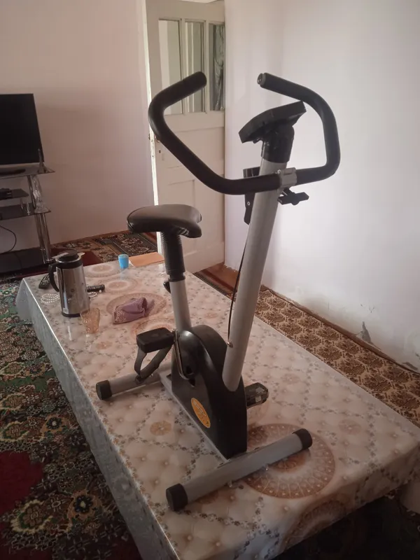 velotrenajyor 2