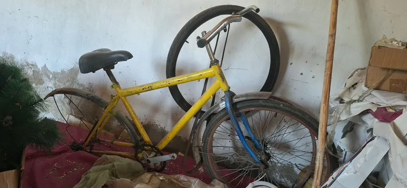 Velosiped (mustik) Velosiped (mustik)