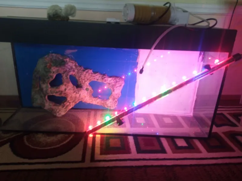 Xajmi:Akvarium 80 litr 4 Xajmi:Akvarium 80 litr 4