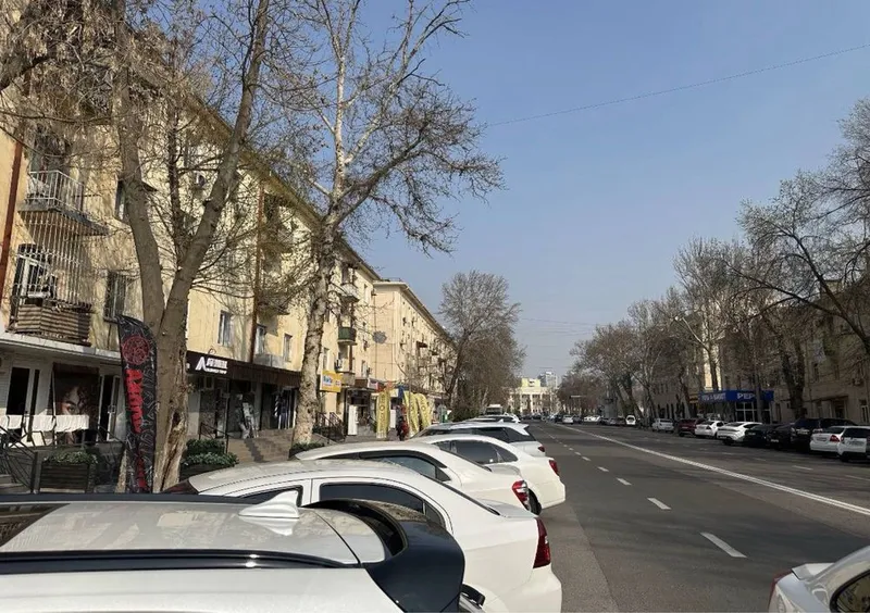 Ракат Ориентир Московская Питца Продается Нежилой 4
