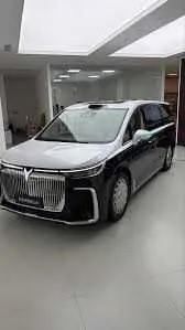Voyah dreamer Vip class buyurtma asosida