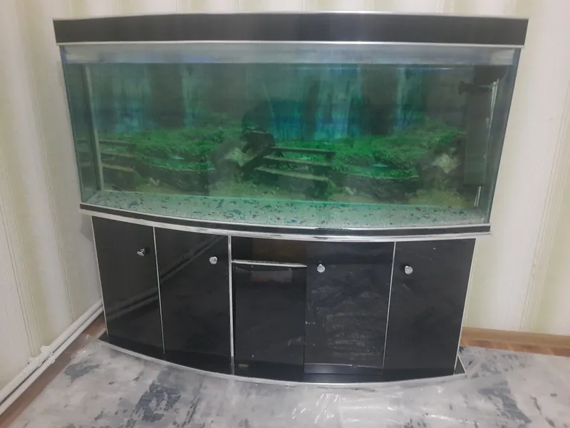 Akvarium baliqlari va filtri bilan