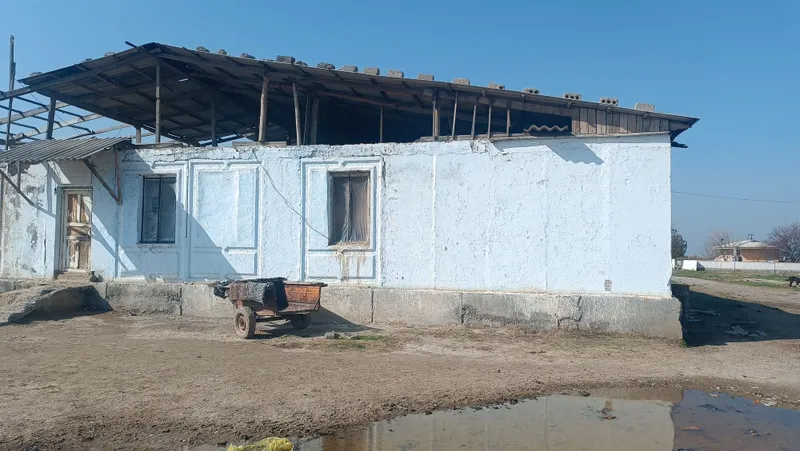 Zomin tumani Dashtobod shaharchasi Guliston MFY da joylashgan noturar