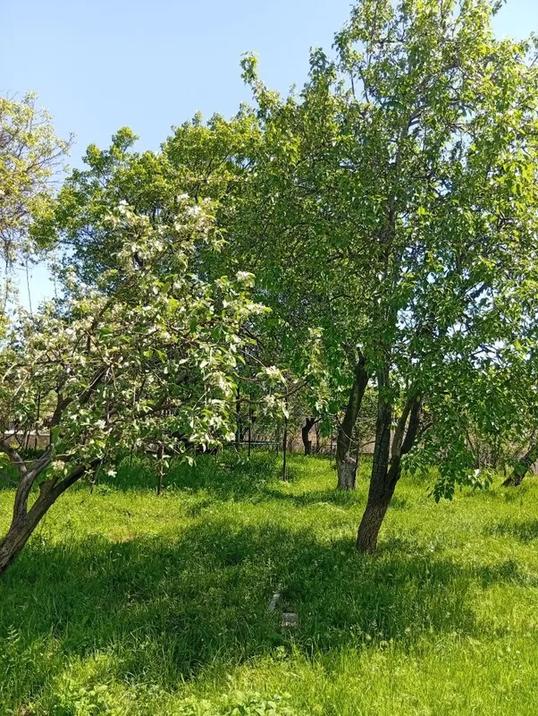 Продается дачный участок 7,6 соток. Бассейн, сад — фото 7