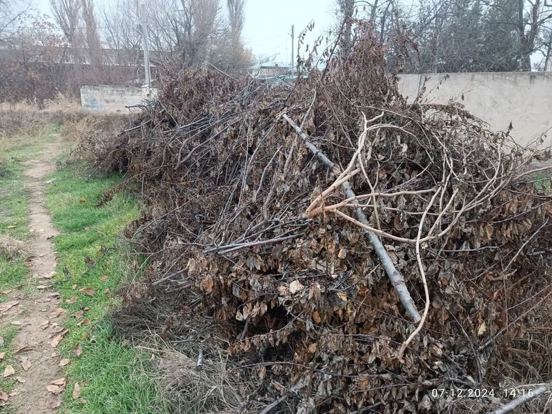 Oʻtin sotiladi. Продается дрова 4 Oʻtin sotiladi. Продается дрова 4