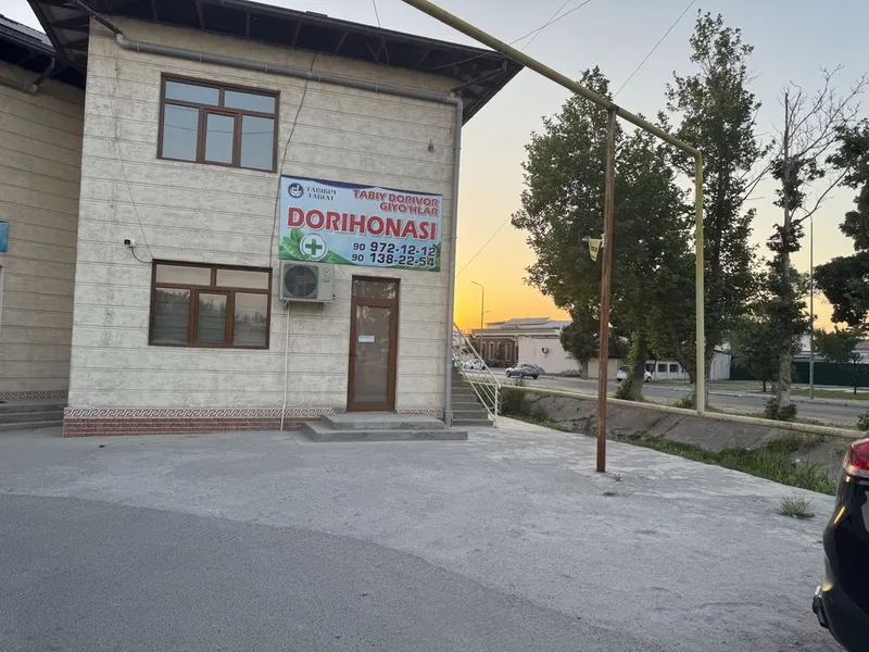 Нурафшон шахар марказида алохида турган бино
