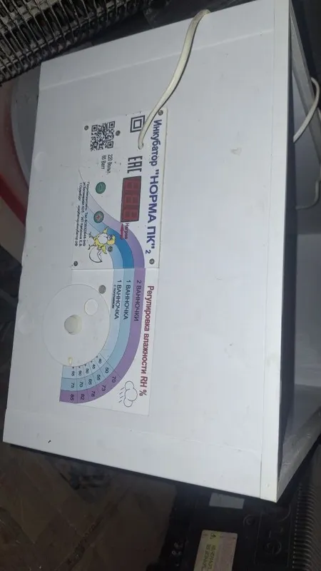 "Норма " inkubator 2