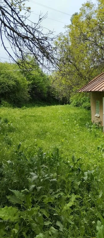 Бўстонлиқ тумани Амирсойда уй сотилади 1 Бўстонлиқ тумани Амирсойда уй сотилади 1