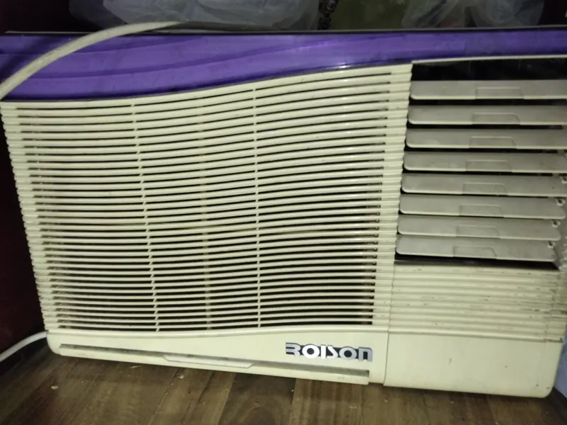 Roison Konditsioner