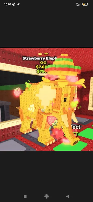 strawberry elefant 7.6/b