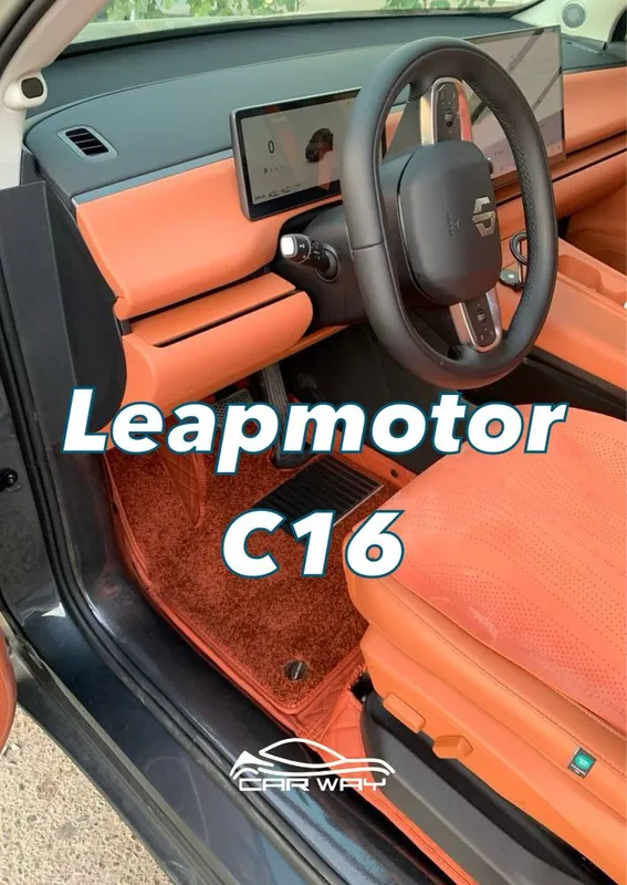 10D polik / коврики для Leapmotor C10