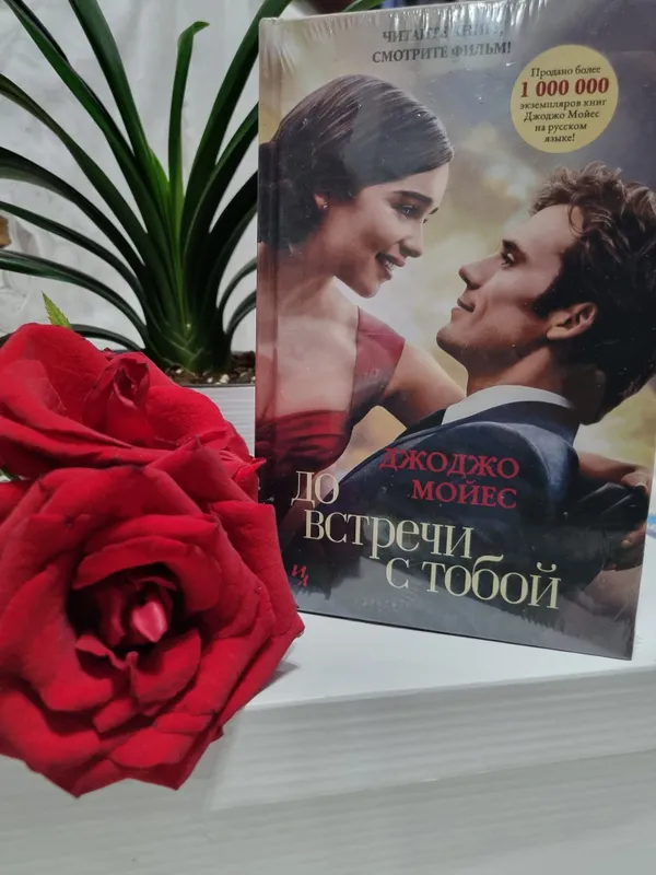 До встречи с тобой книги — фото 1