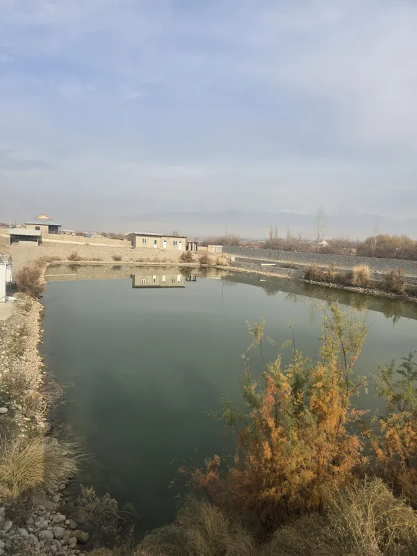 Ijara ko'l beriladi hamma sharoiti bor