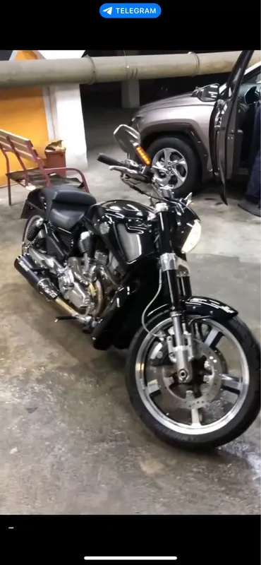 Harley Davidson V-ROD Muscle срочно — фото 1