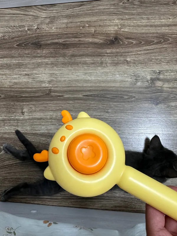кошка скотиш страйт 2 месяца лоток расчоска бонус 7 кошка скотиш страйт 2 месяца лоток расчоска бонус 7