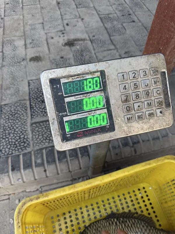 Wlakablok Aparatlar 2ta hammasi bir narxda
