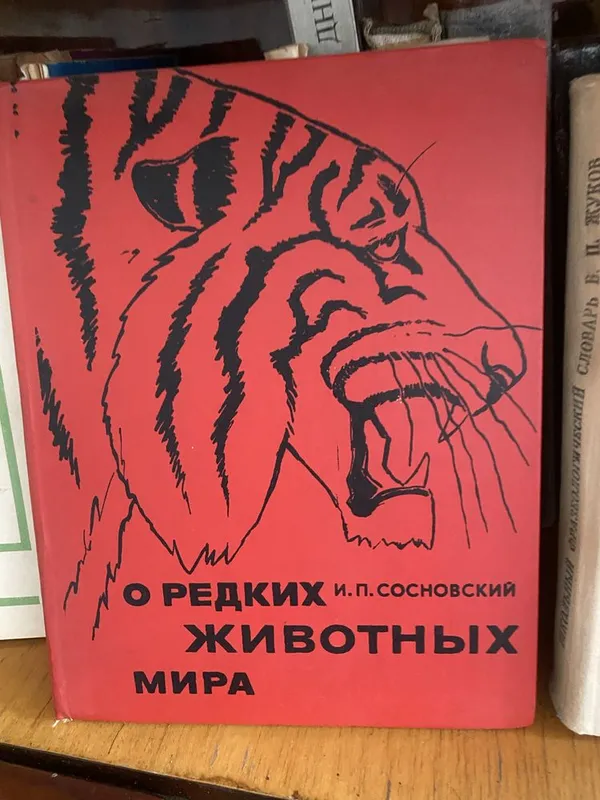 Книги,справочники,сборники,учебники по иностранному и русскому языках — фото 4