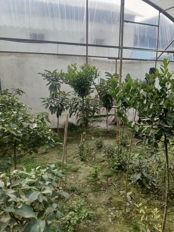 100% ishonchli Burichina kochatlari bor — фото 3