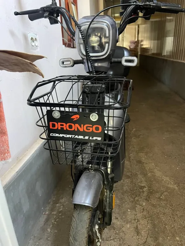 Drongo 5