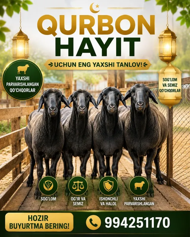 Halol boqilgan yosh quchqorl barralar kuring