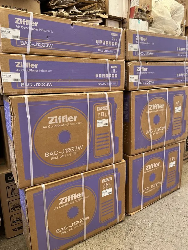 ZIFFLER 12 BAC model — фото 2